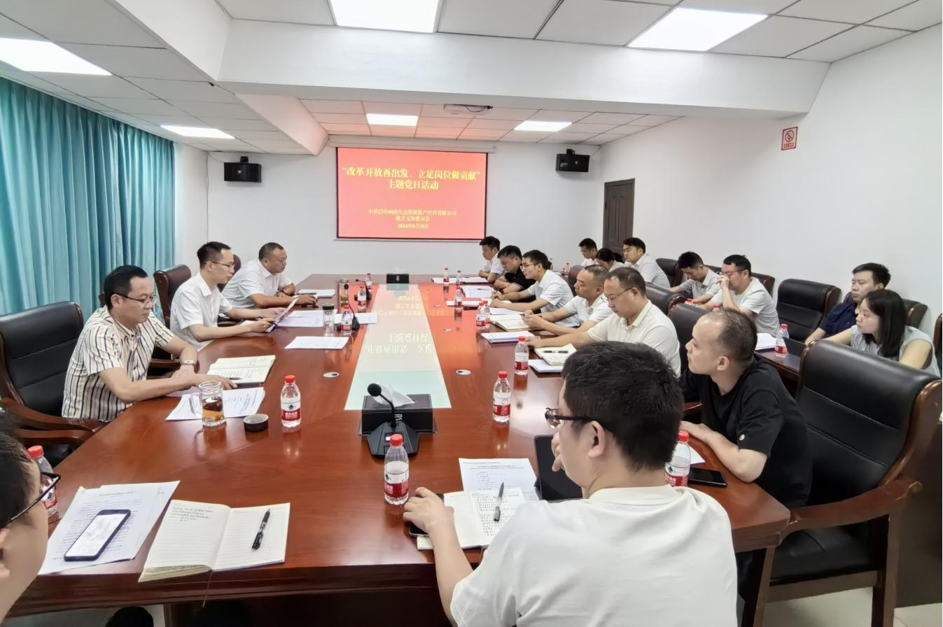 巴中兩山公司開展“改革開放再出發(fā)、立足崗位做貢獻”主題黨日活動