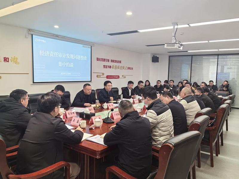 巴中兩山公司召開經(jīng)濟(jì)責(zé)任審計(jì)發(fā)現(xiàn)問題整改集中約談會(huì)